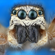 Illustration for article titled Some of the Most Gorgeous Macrophotography Weve Seen in Ages